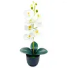 Decoratieve bloemen 1 Set kunstmatige pot charmante draagbare simulatie bonsai desktop neppot bruiloft ornamenten