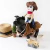 Dog Apparel Interesting Funny Kitten Cowboy Knight Costumes For Halloween Pet Decoration Accessories Transformed