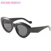 サングラスDohohdo Small Frame Cat Eye Women Trending Classic Men SunGlases Jelly Color Eyeglasses装飾的なアクセサリー