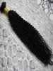 バルクアフロキンキーカーリー編み髪100編み100gのための人間の髪の毛ない髪の毛ない人間の髪の束9282377