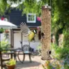 Otros suministros de aves alimentador colgante colgante tubular anti-rompina decoración de jardín al aire libre comederos bandeja para pájaros alimentos para agua de pájaro fácil instalación