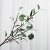 Fleurs décoratives Mur de plante simulée avec fruit eucalyptus feuille de feuille décoration argent vert