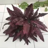 Fleurs décoratives Black Persian Persian Artificial Flower Ferns Burgundry Leaf Wedding Floral Arrangement Mariage décor Home Mur Diy 10pcs