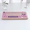 Accessories USLION 134 Keys Cherry Profile Keycaps Pink Sakura Theme PBT Key Cap Suit for 61/64/68/78/84/87/96/104/108 Mechanical Keyboard