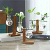 Vases Plants Transparent Bulb Vase With Wood Stand Creative Planter Hydroponic Holder Home Garden Office Decoration 21x15cm