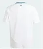 S-4xl 2024 Irlande du Nord Jersey Soccer Men Set Kid Kit Uniform 2025 Divas Charles Evans 24 25 Football Shirt Charles Ballard Best Brown Home Away