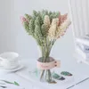 Dekorativa blommor 31 cm vete öratblomma naturligt torkat för bröllopsfest dekoration diy hem bord juldekor bukett