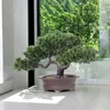 Decorative Flowers Artificial Bonsai Tree Potted Plant Decoration Sturdy Desktop Display Multipurpose For Terrace Windowsill