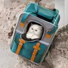 Transporteurs de chats transporteur pour animaux de compagnie sac à dos petit chien sac respirant kitten de voyage extérieur chiot portable sac en filet