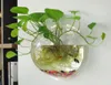 Forma a sfera di terrarium a sfera di vetro appeso in vetro pentole floreali di fiore di pesce a muro contenitore Aquarium Homw Decor247H2215341