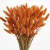 Flores decorativas 150pcs lagurus ovatus grama seca grama artificial pampa natural decoração para festa de casamento em casa el