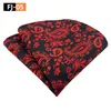 Nekbanden modieus pak mannen paisley tie patroon pocket square zakdoek zijden hankies voor drop levering mode accessoires otjdg