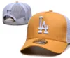 Американские бейсбольные доджерс Snapback Los Angeles Hats Chicago La Pittsburgh New York Boston Casquette Sports Champion Champions Регулируемые шапки A0