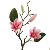 Fleurs décoratives 1pc Artificiel Magnolia Bonsaï murdure Intérieur Plantes d'embellissement Faux bouquet pour le salon à domicile El Teahouse