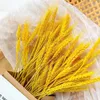 Decorative Flowers 50Pcs Real Wheat Ear Natural Dried Centerpieces For Weddings Artificial Wedding Valentine's Day Gifts Christmas