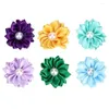 Abbigliamento per cani 30pcs PET Multicolore Flower Hair Bows Accessori per cuccioli di cucciolo di gatto medio