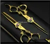 Смотавшие ножницы 6dot0quot 2pcs Sharp Dragon Rande Gold Barber Hair Ncissors Set Set Slining Shinsing The Hairdressing Prail T2072797