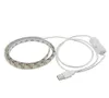 USB 5V LED Strip 5050 TV Background Éclairage 60ledSM Câble USB blanc chaud blanc avec bande de commutation 799871