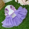 Hunde Sommerkleid Katze Spitze Chiffon Rock Haustier Kleidung Chihuahua Welpe Prinzessin Kleidung Kleidung Accessoires 240411