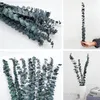 Decoratieve bloemen 12 pc's eucalyptus takken gedroogde stengels voor trouwhuis Diy Restaurant El Office Decoration Crafts Ins Decor