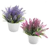 Декоративные цветы 2 PCS House Plant