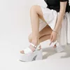 Hip Thick Heel Shoes Roman Style Sandals Womens Fish Mouth Open Toe High Sandles Heels Summer Sandal Women 10CM Simple Versatile Cake Sole Flip Flop 240228