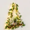 Plaques décoratives Art Artisanat Rack Rangement Rustic Bohemian Mur Shelves With LED LIGHTS ARTIFICIAL GERES PLANTS PLANT