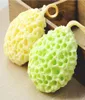 Wet N Wild Sponge Microphone Banges Sponges Ball Mesh Crass Honeycomb Accessories Body Wisp Natural Dry Brate Cleaning3563383
