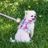 Dog Apparel Clothes Traction Rope For Small Medium With Harness Pomeranian Tutu Wedding Princess Dress Pink Flowers Pet Puppy