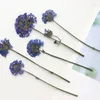 Fleurs décoratives 10-13cm / 12pcs Branches de plantes naturelles Pressé Flower Drop Glue Téléphone Bookmark PO Cadre Party Invitation Greetting