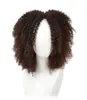 14 pouces Brown Synthetic Curly Wigs for Women 9 Colors ombre Short Afro Wig African American Natural Black Hair4108800