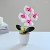Dekorativa blommor liten fjäril orkidé bonsai artificiell simulering siden blommor vit potten set hemmakontor bröllop fest dekoration
