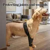 Dog Apparel Pet Hip Brace Comfortable Breathable Legs Protector Supplies