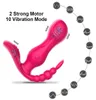 Draadloze 3 op 1 g Spot Remote Control Vibrator voor vrouwen clitoris stimulator draagbaar slipjes dildo erotisch voor volwassenen Q06022269637