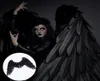 Хэллоуин 3D Angel Devil Big Wings for Daily Wear Halloween Theme Party Comsplay Great Gif