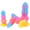 Yeni rüya jöle renkli aydınlık dildos anal oyuncaklar canavar penis parlayan popo fiş kadınlar için vantuz ile yumuşak