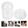 Decorative Flowers 1 Set Transparent Flower Glass Cover Display Container Valentine's Day Gift