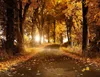 Falling Maple Leaves Autumn Scenic Pography Bakgrund Vinyl Fabric Country Road Trees Studio PO Shoot Bakgrund Outdoor2052822