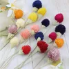 Decorative Flowers Natural Dried Real Strawberry Fruit Plant Bouquet Boho Home Decor Artificial Flower Wedding Party Decoration Accessories