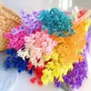 Dekorativa blommor Eternelle Anise Star Flower Natural Dried Diy Bouquet Gift for Home Party Wedding Decoration Boho Decor Arrangement