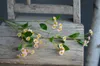 Fleurs décoratives petites fleurs sauvages fausses blanc rose violet camomille bricolage marguerite printemps