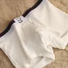 Underpants Mid-rise Panties Men U-shaped Crotch Underwear Men's Elastic Waistband Panda Pattern Mesh Briefs Colorful Patchwork