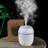 Luftfuktare 250 ml mini ultraljuds luftfuktare med LED -nattlampan aromdiffusor för hemmabil USB Fogger Mist Maker