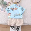 Zestawy odzieży Zestawy odzieży Summer Baby Boy Ubrania 2024 Butikowe stroje dla dzieci do samolotu nadrukowane koszule z krótkim rękawem i szorty Dwuczęściowe zestaw C240413