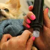 Köpek giyim 10 PCS Pet Tırnak Öğütücü Yedek Tip Taşlama Tekerlek Bıçağı Keskinleştirme Kafa Araçları Yükseltilmiş
