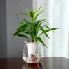 Vases DIY Vase Flower Potted Green Plantes Absorption d'eau Plastiques Transparent Double couche Ornements de bureau décorations