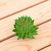 Decorative Flowers Flocking Artificial Succulent Plants Mini Bonsai Fake Flower Succulents Plant Lotus Landscape Decoration Home Garden