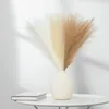 Decoratieve bloemen 55 cm Pampas Grass Bouquet voor bruiloftdecoratie Fake Vase Home Artificial Reed