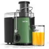 Juicers DUTRIEUX jucer machine Juicer Machines, Juice Maker for Vegetable and Fruit, Easy to Clean, Green Stainless Steel