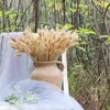 Flores decorativas 150pcs lagurus ovatus grama seca grama artificial pampa natural decoração para festa de casamento em casa el